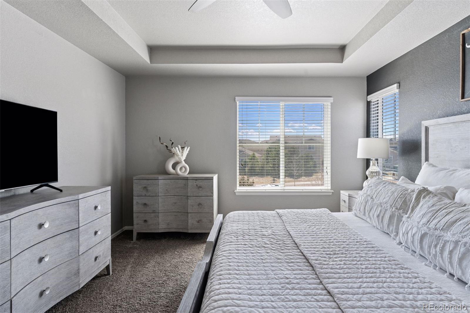 MLS Image #20 for 1301  sidewinder circle,castle rock, Colorado