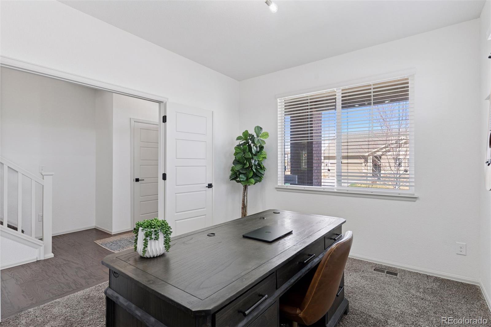 MLS Image #4 for 1301  sidewinder circle,castle rock, Colorado