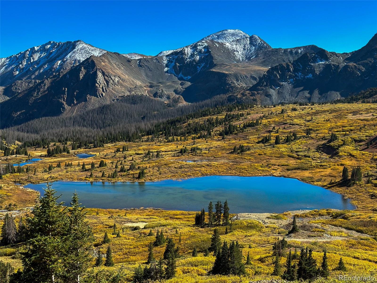 MLS Image #44 for 13500  county road 220 a ,salida, Colorado