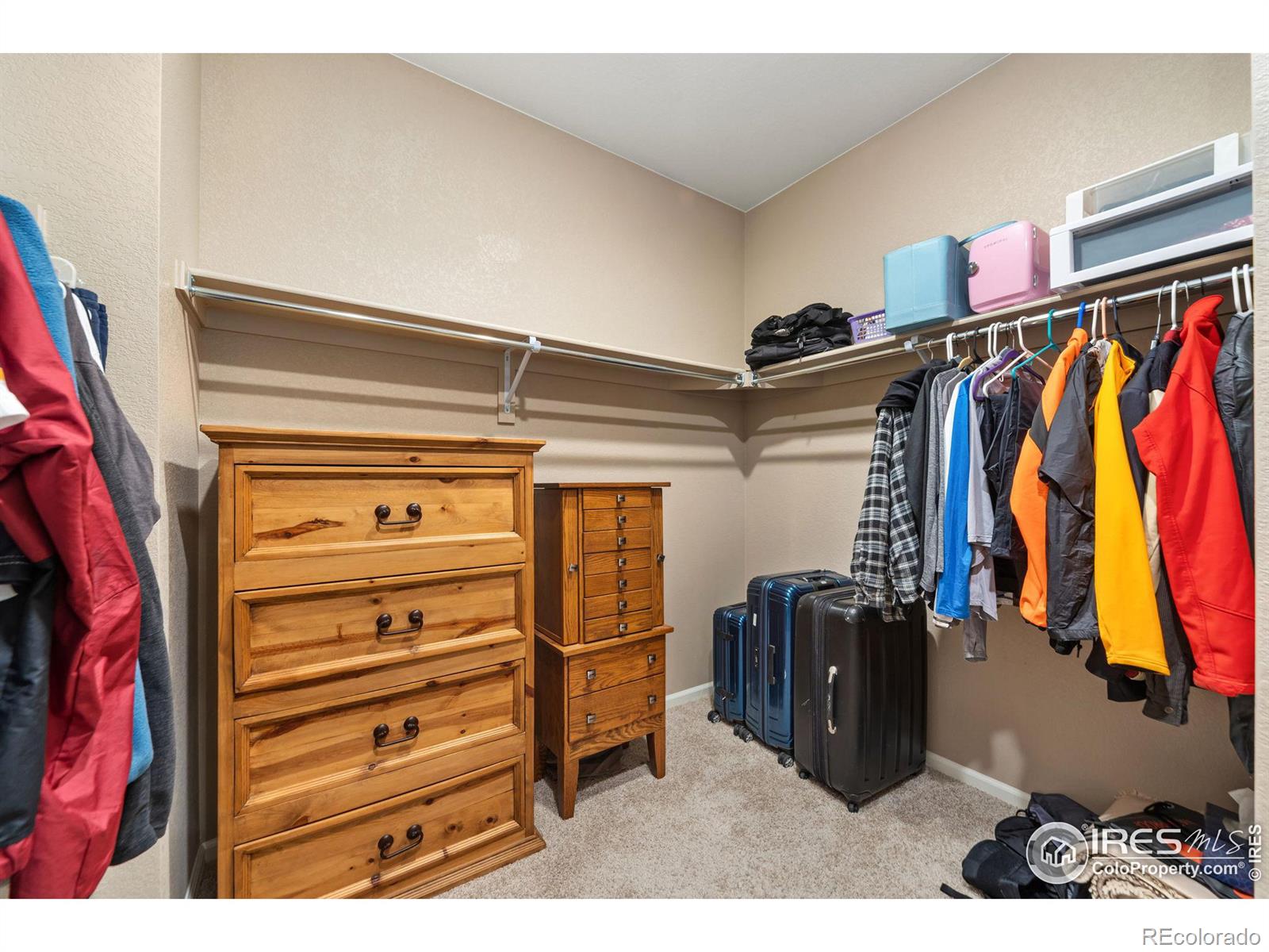 MLS Image #13 for 6914  grainery court,timnath, Colorado