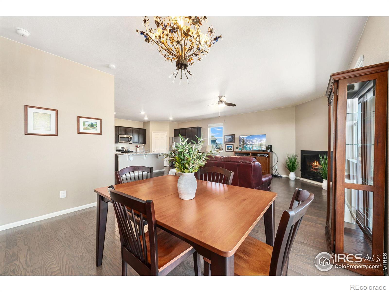 MLS Image #19 for 6914  grainery court,timnath, Colorado