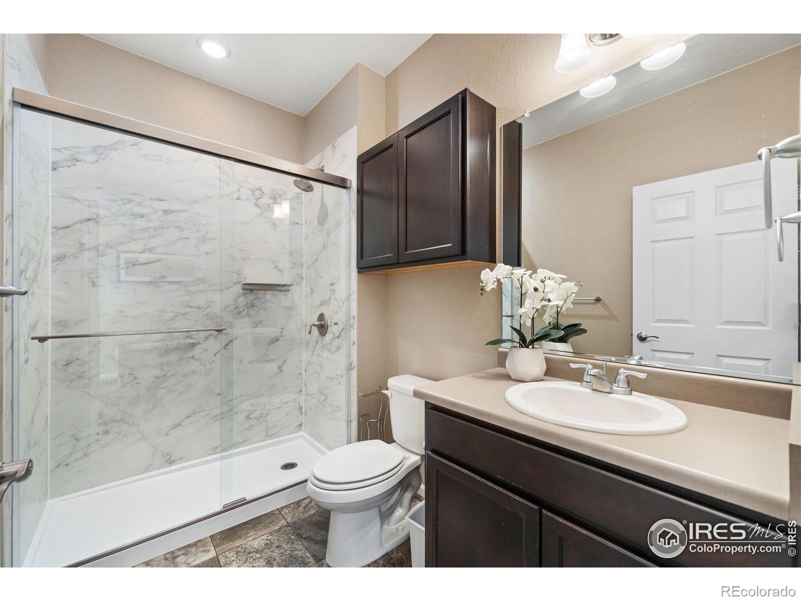 MLS Image #4 for 6914  grainery court,timnath, Colorado