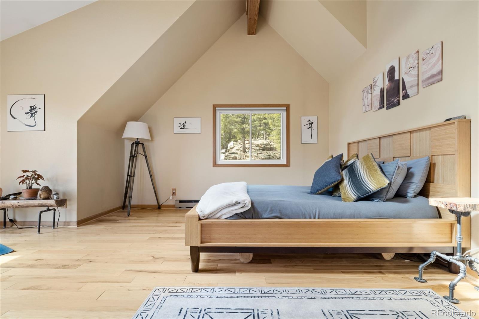 MLS Image #22 for 13452  riley peak road,conifer, Colorado