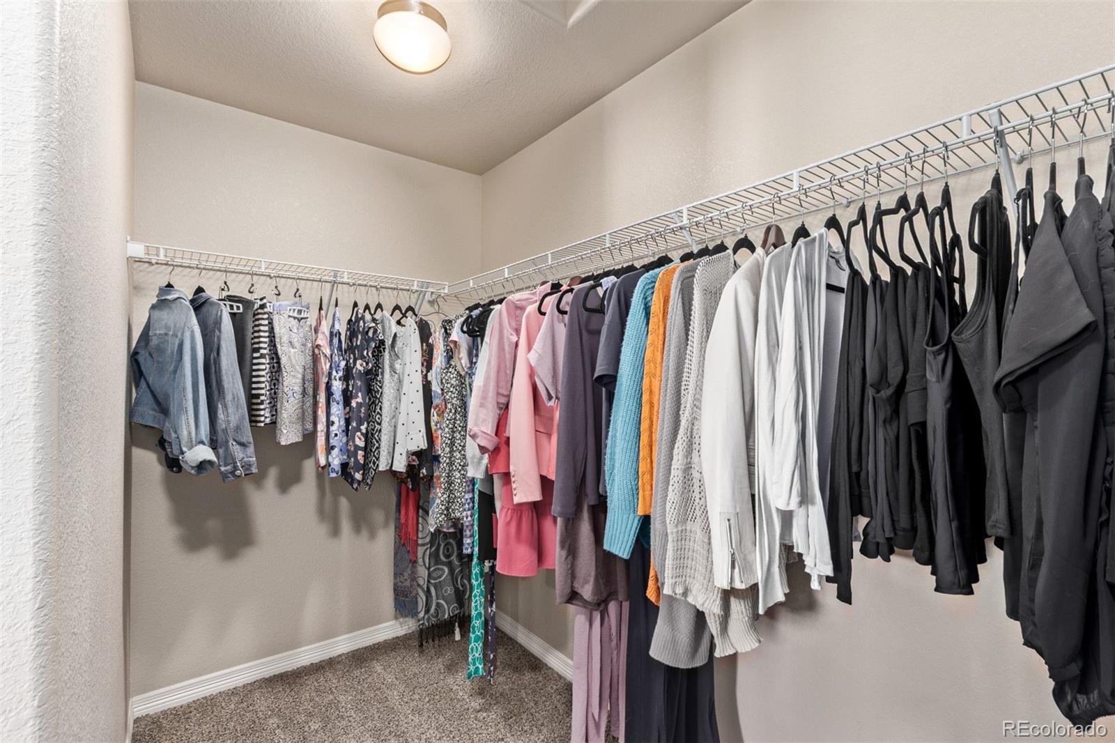 MLS Image #31 for 891  shirttail peak drive,windsor, Colorado