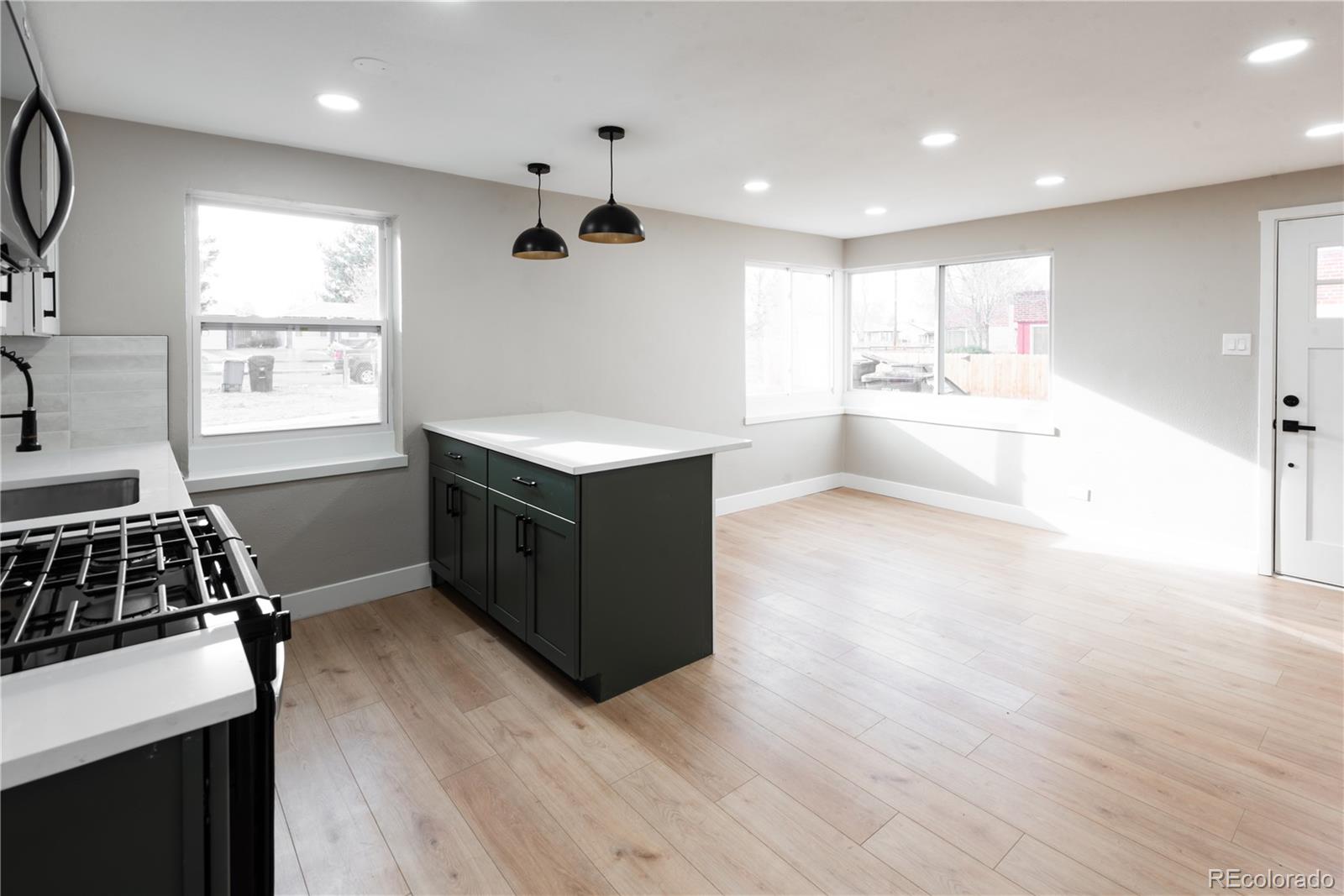 MLS Image #3 for 1568  verbena street,denver, Colorado