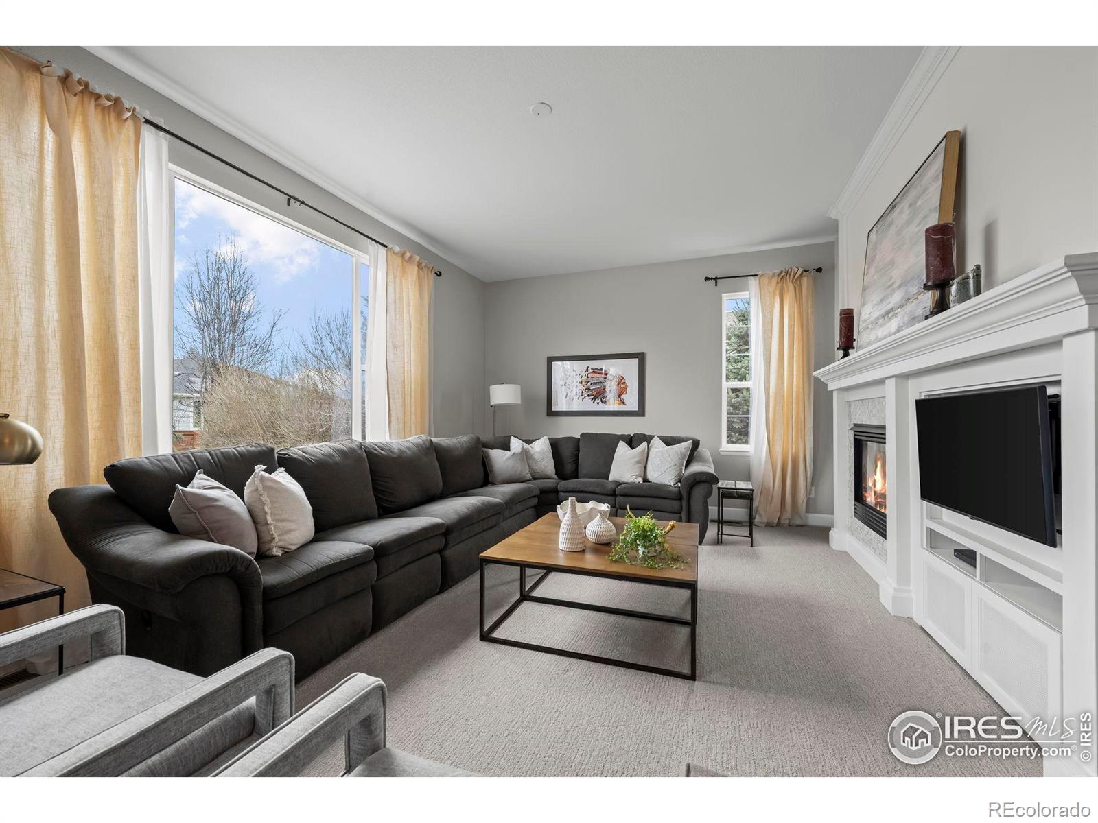 MLS Image #15 for 4463  eagle river run,broomfield, Colorado