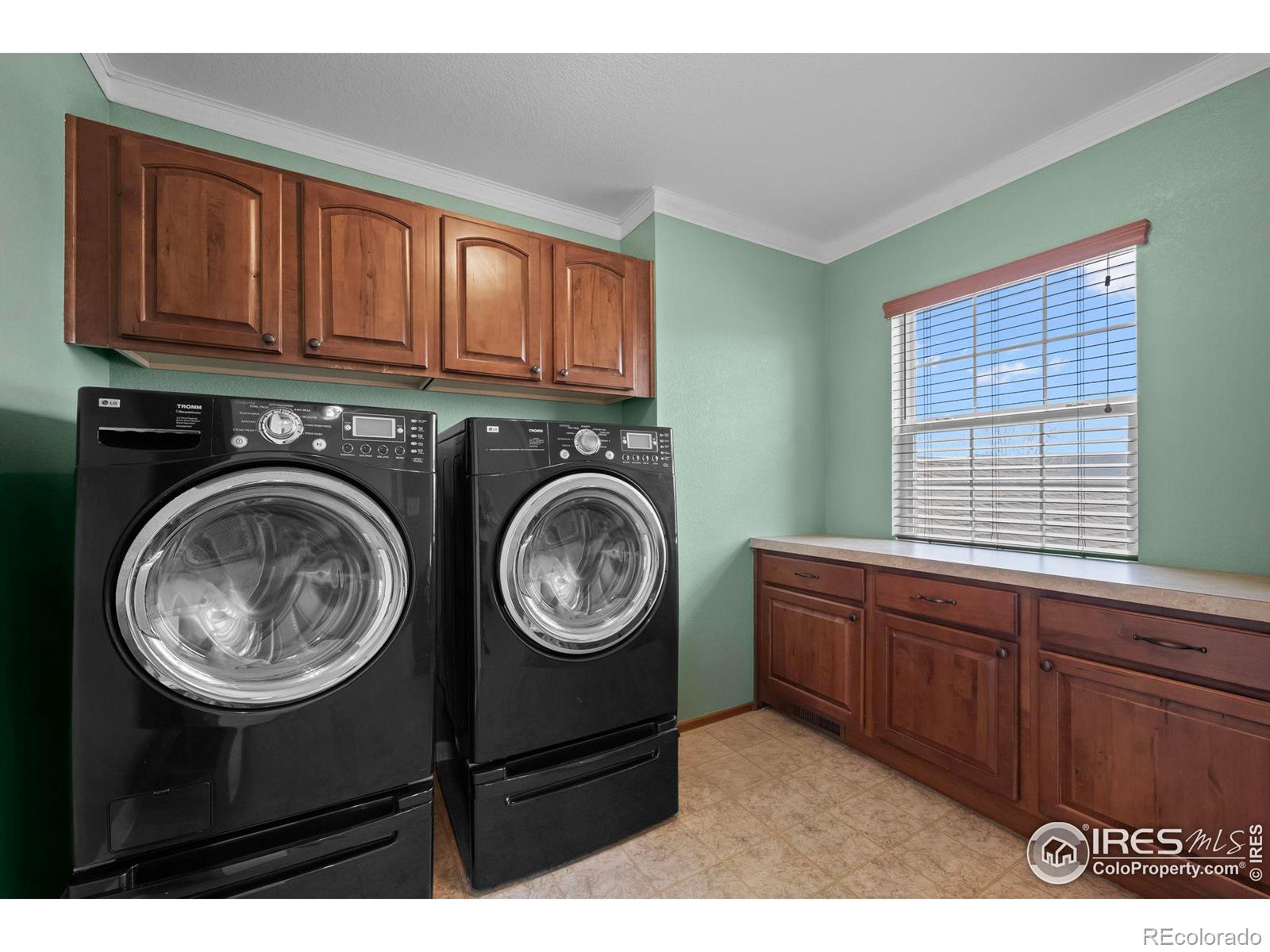 MLS Image #19 for 4463  eagle river run,broomfield, Colorado