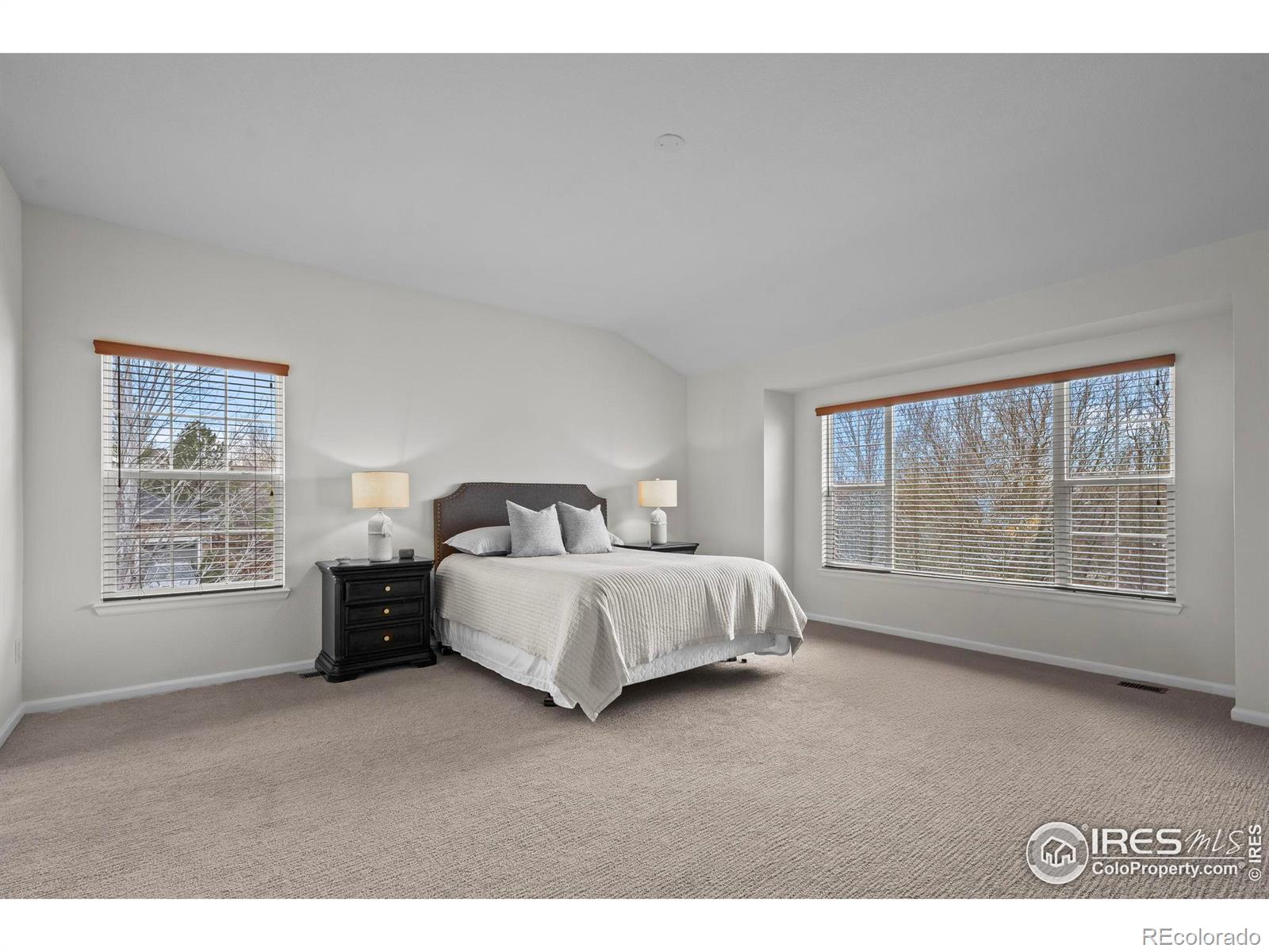 MLS Image #20 for 4463  eagle river run,broomfield, Colorado