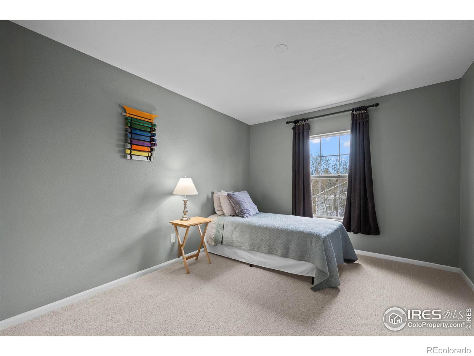 MLS Image #22 for 4463  eagle river run,broomfield, Colorado