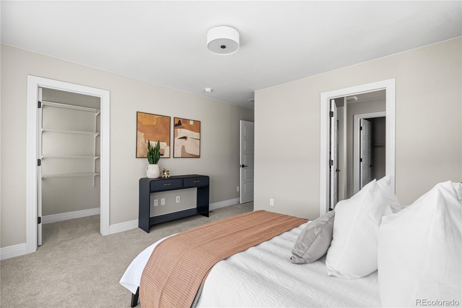 MLS Image #17 for 4355  cyan circle e,castle rock, Colorado