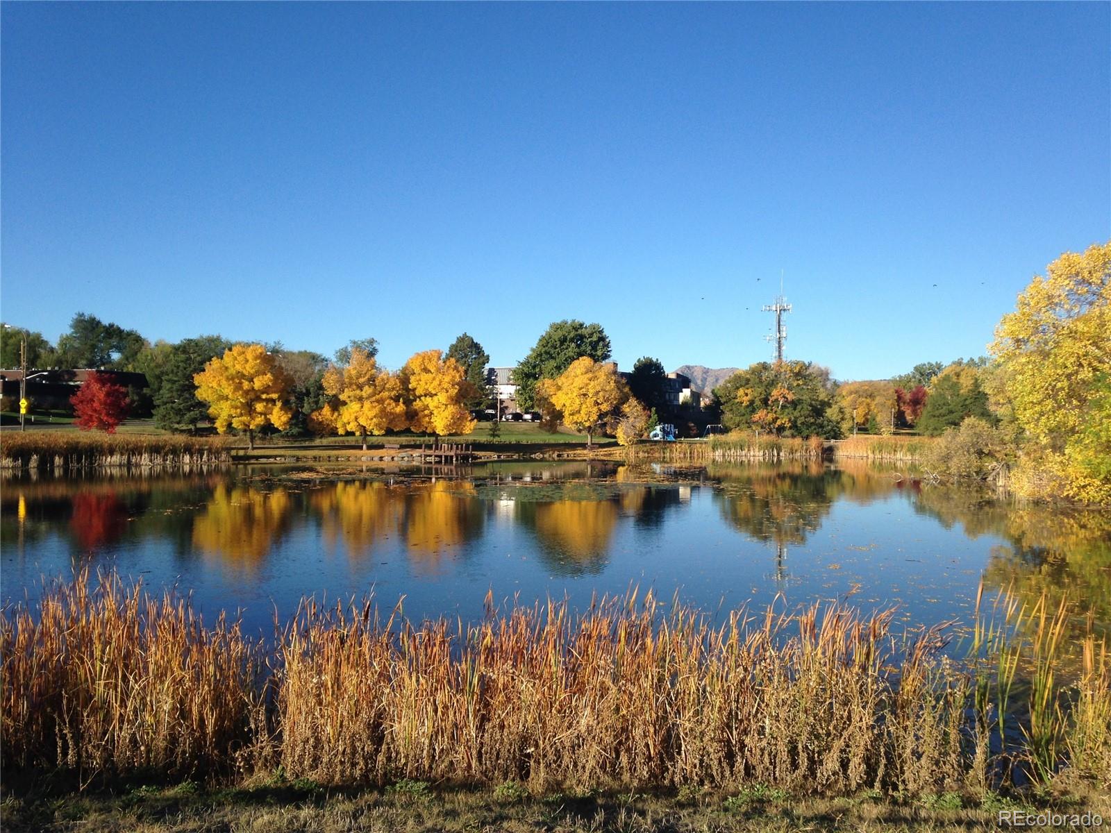 MLS Image #39 for 1823 s carr street,lakewood, Colorado