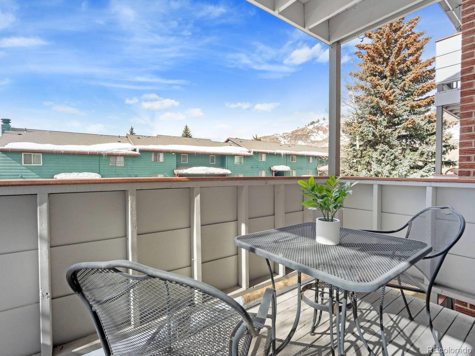 MLS Image #18 for 535  straight creek drive,dillon, Colorado