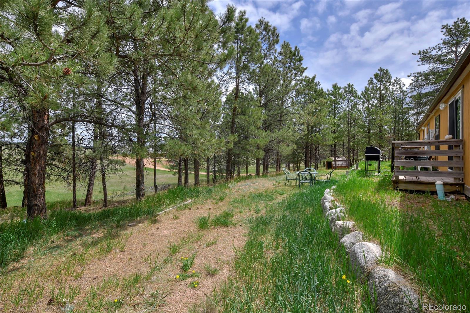 MLS Image #10 for 455  matterhorn drive,florissant, Colorado