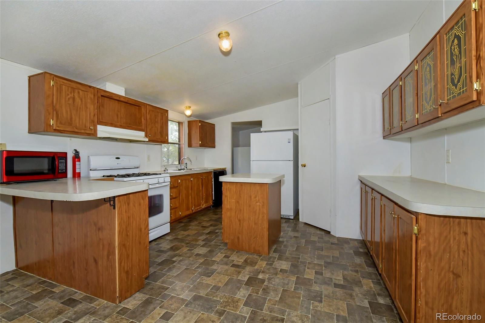 MLS Image #14 for 455  matterhorn drive,florissant, Colorado