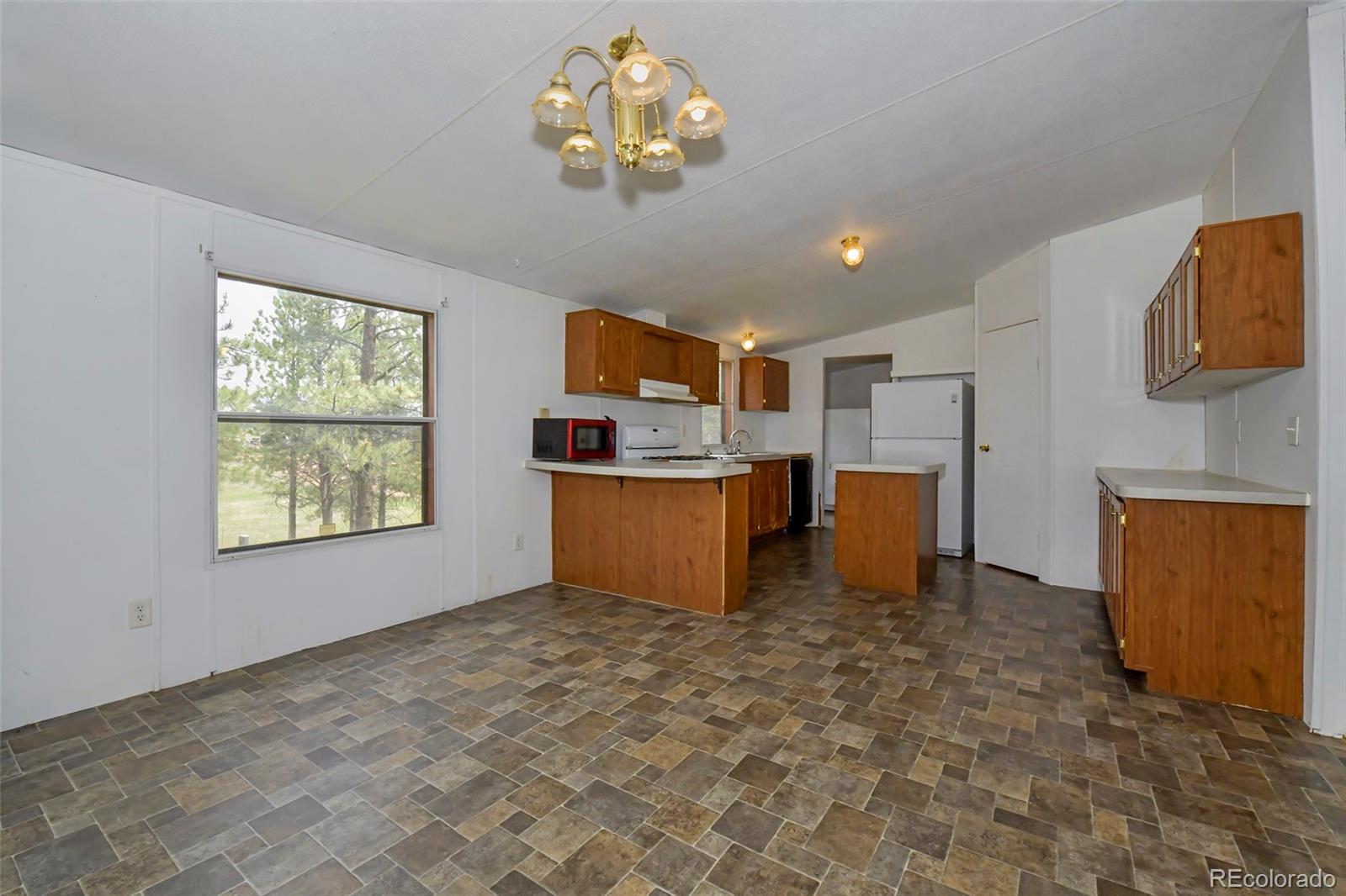MLS Image #16 for 455  matterhorn drive,florissant, Colorado