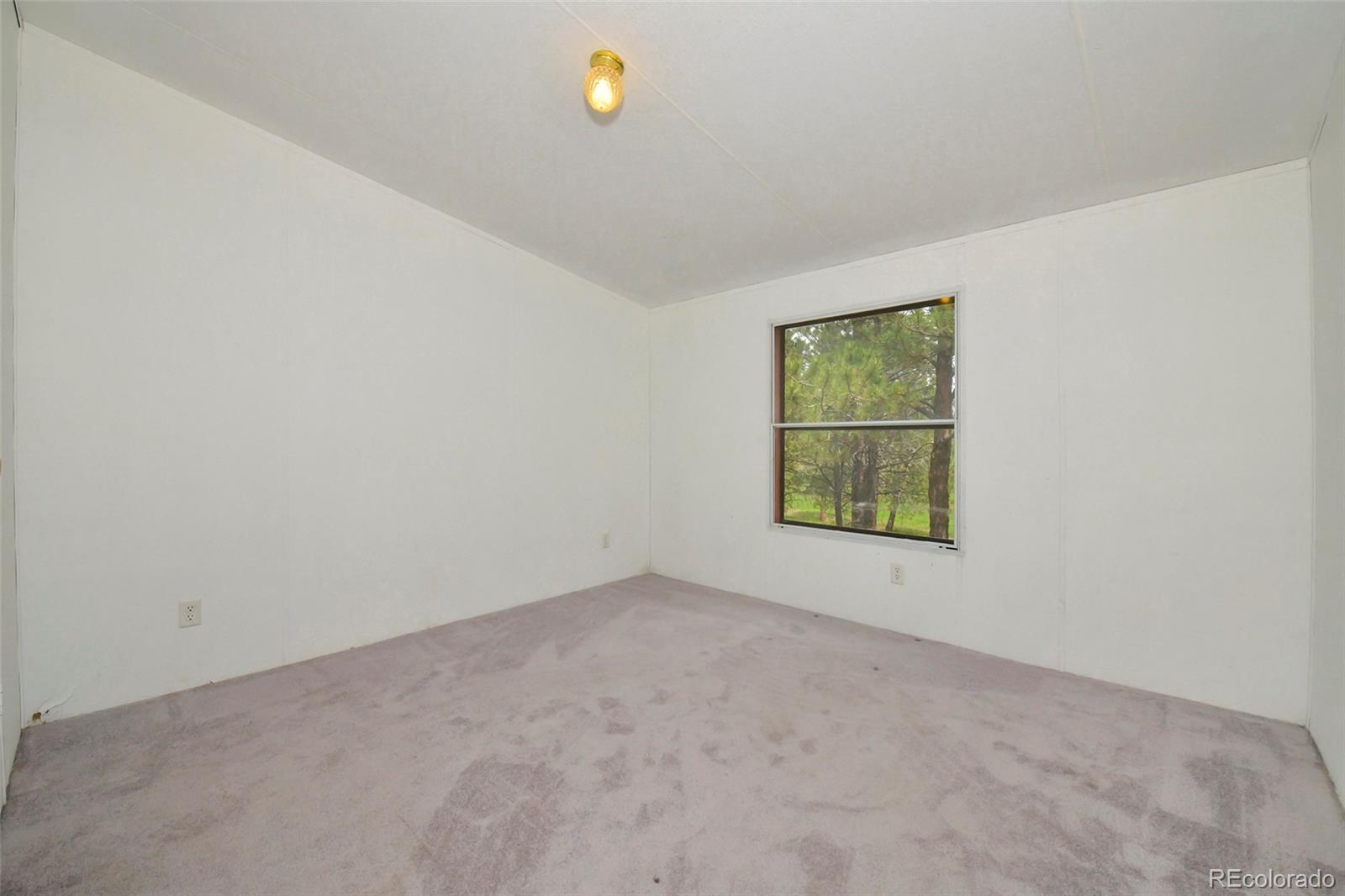 MLS Image #19 for 455  matterhorn drive,florissant, Colorado