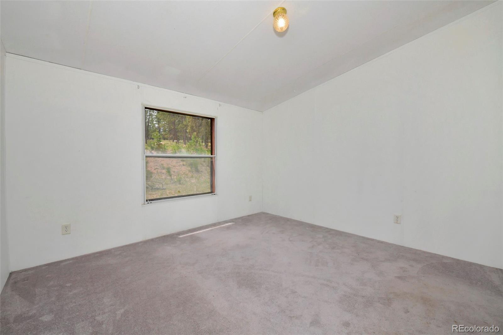 MLS Image #20 for 455  matterhorn drive,florissant, Colorado