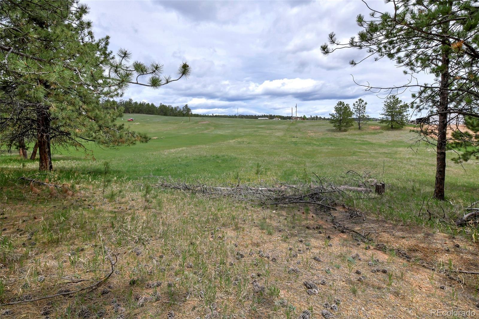 MLS Image #6 for 455  matterhorn drive,florissant, Colorado