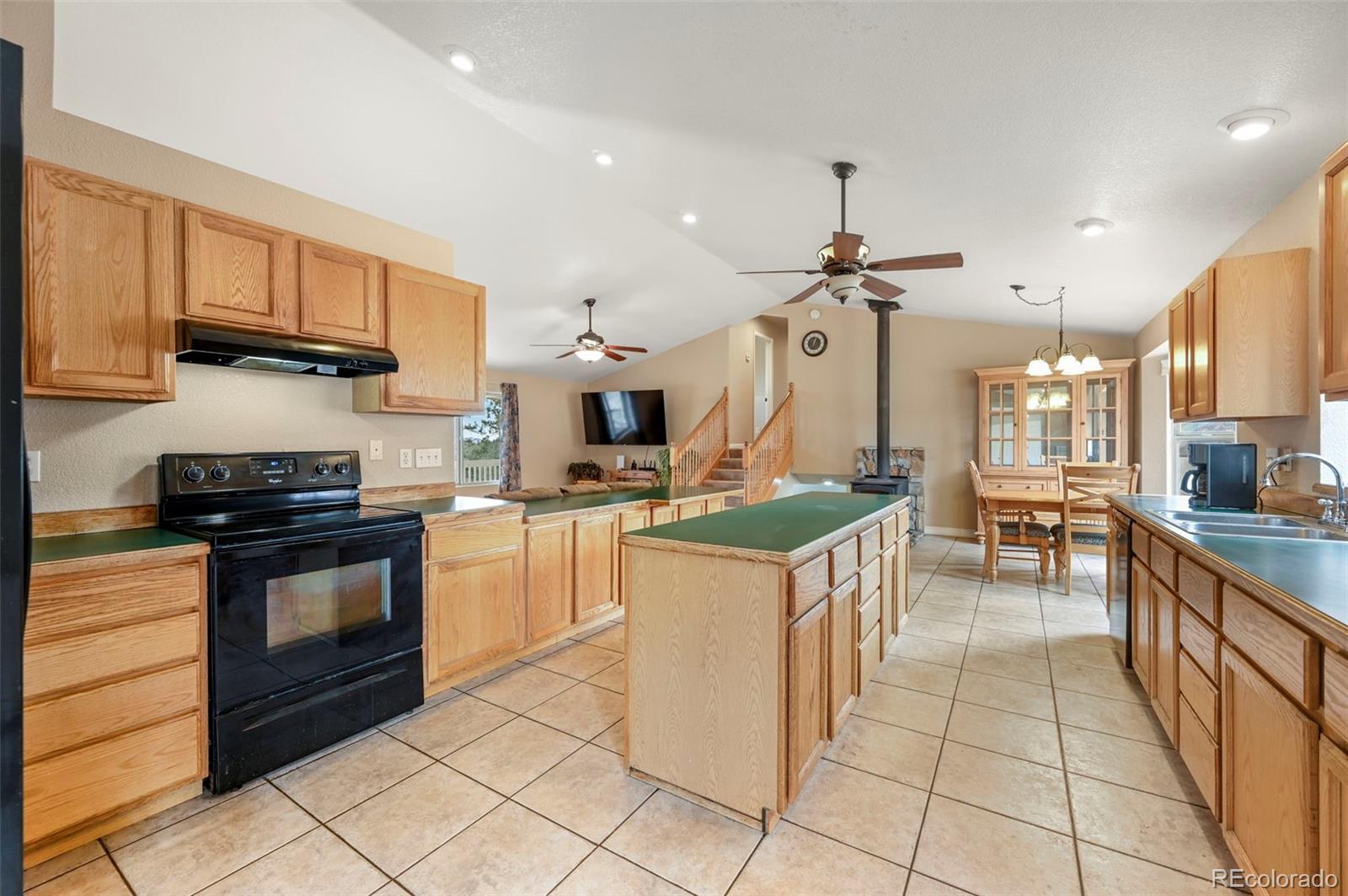 MLS Image #10 for 233  black mesa circle,florissant, Colorado
