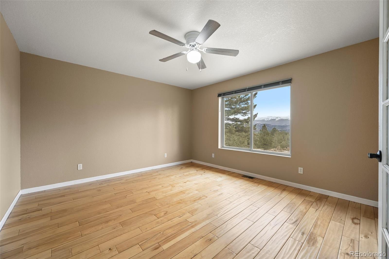 MLS Image #12 for 233  black mesa circle,florissant, Colorado