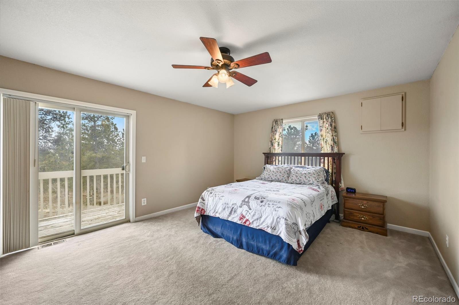 MLS Image #15 for 233  black mesa circle,florissant, Colorado