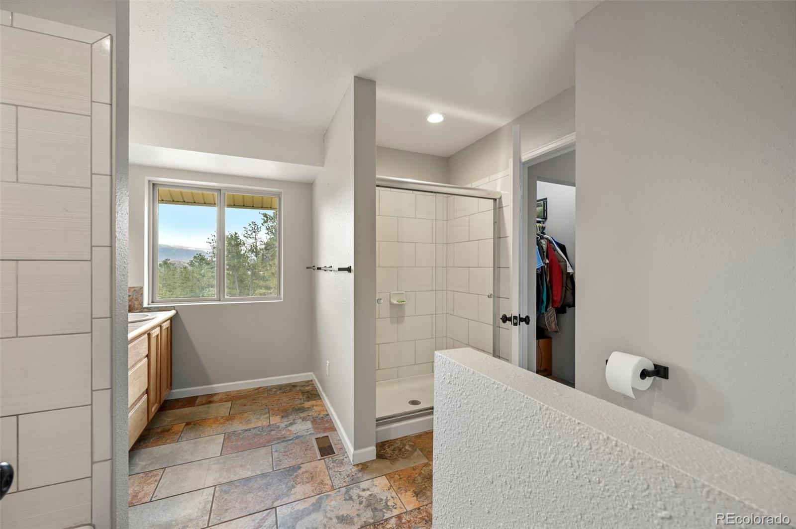 MLS Image #18 for 233  black mesa circle,florissant, Colorado