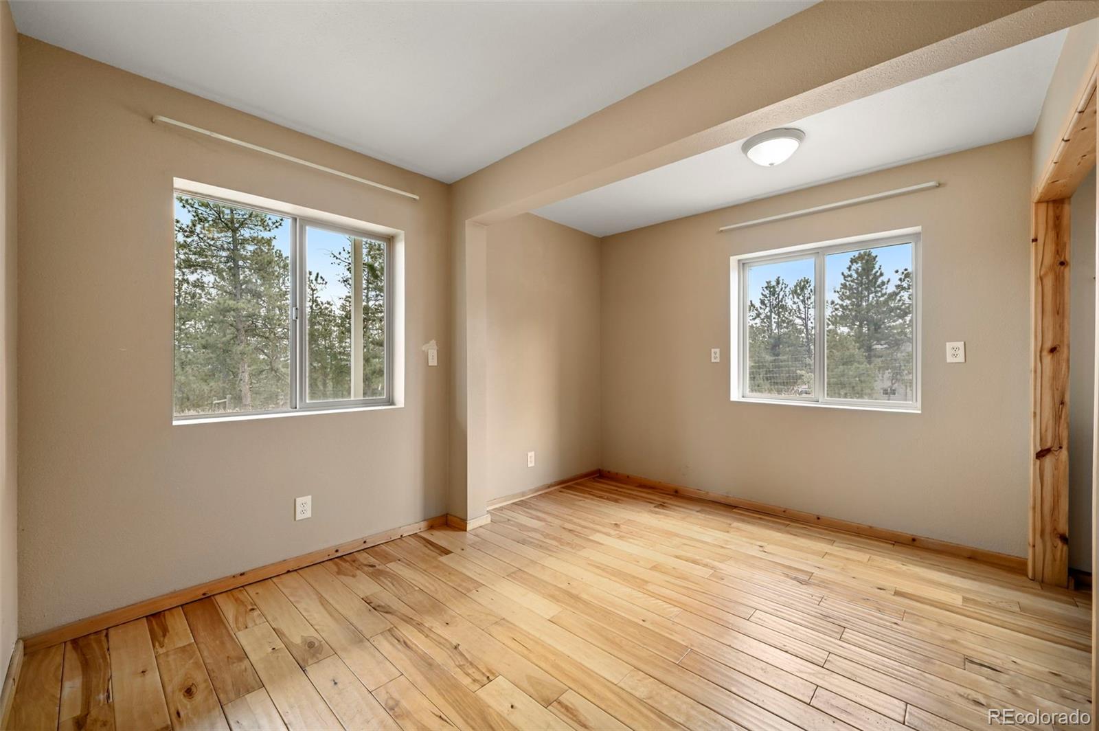 MLS Image #23 for 233  black mesa circle,florissant, Colorado
