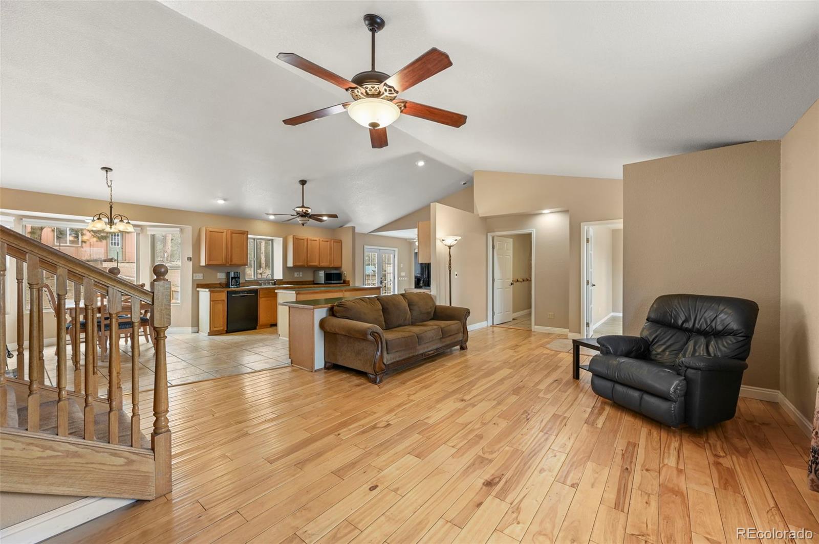 MLS Image #5 for 233  black mesa circle,florissant, Colorado