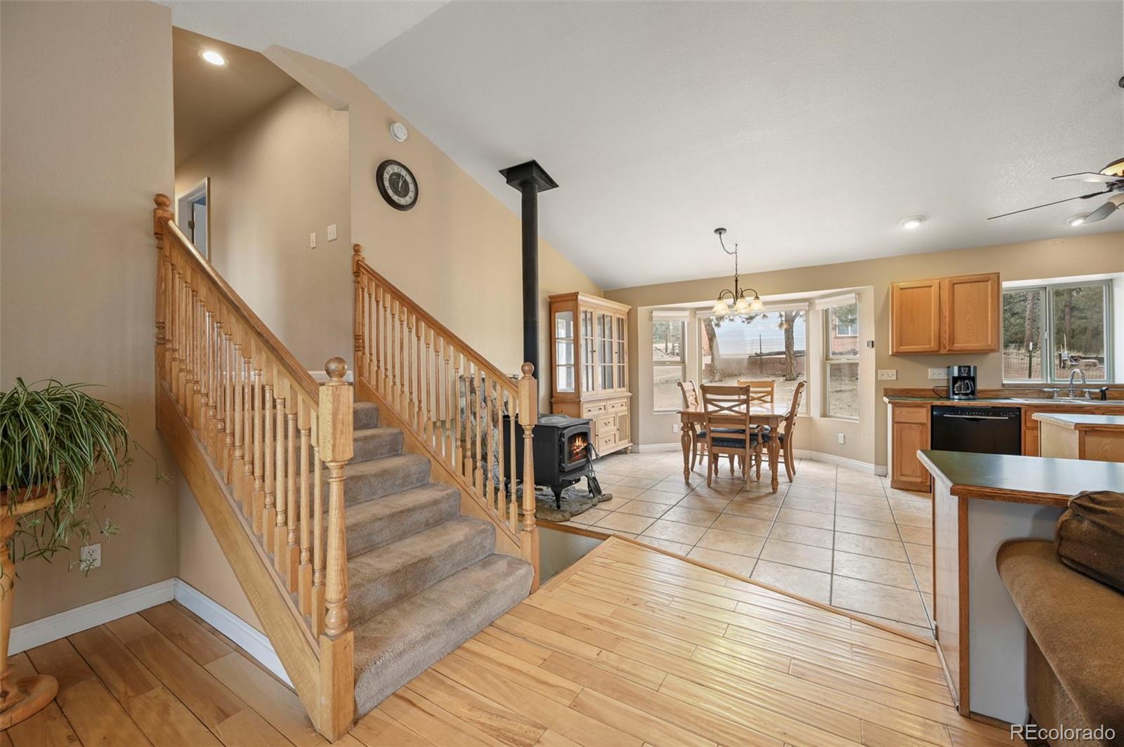 MLS Image #6 for 233  black mesa circle,florissant, Colorado