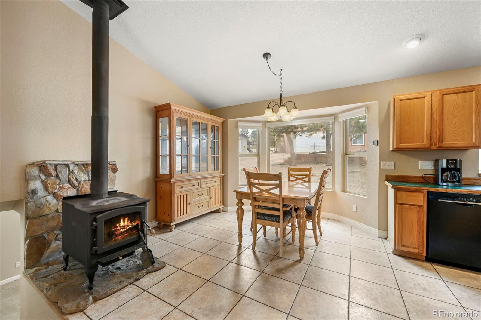 MLS Image #7 for 233  black mesa circle,florissant, Colorado