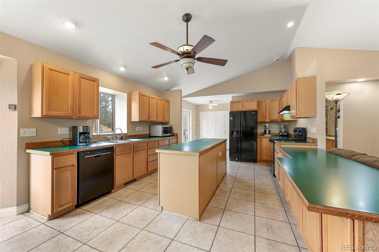 MLS Image #8 for 233  black mesa circle,florissant, Colorado