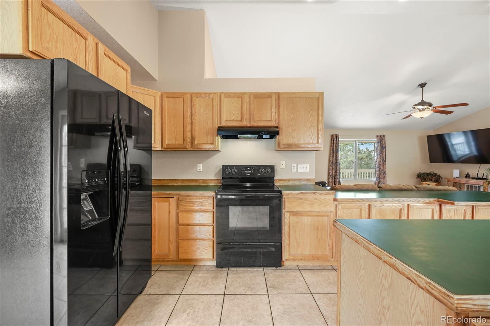 MLS Image #9 for 233  black mesa circle,florissant, Colorado