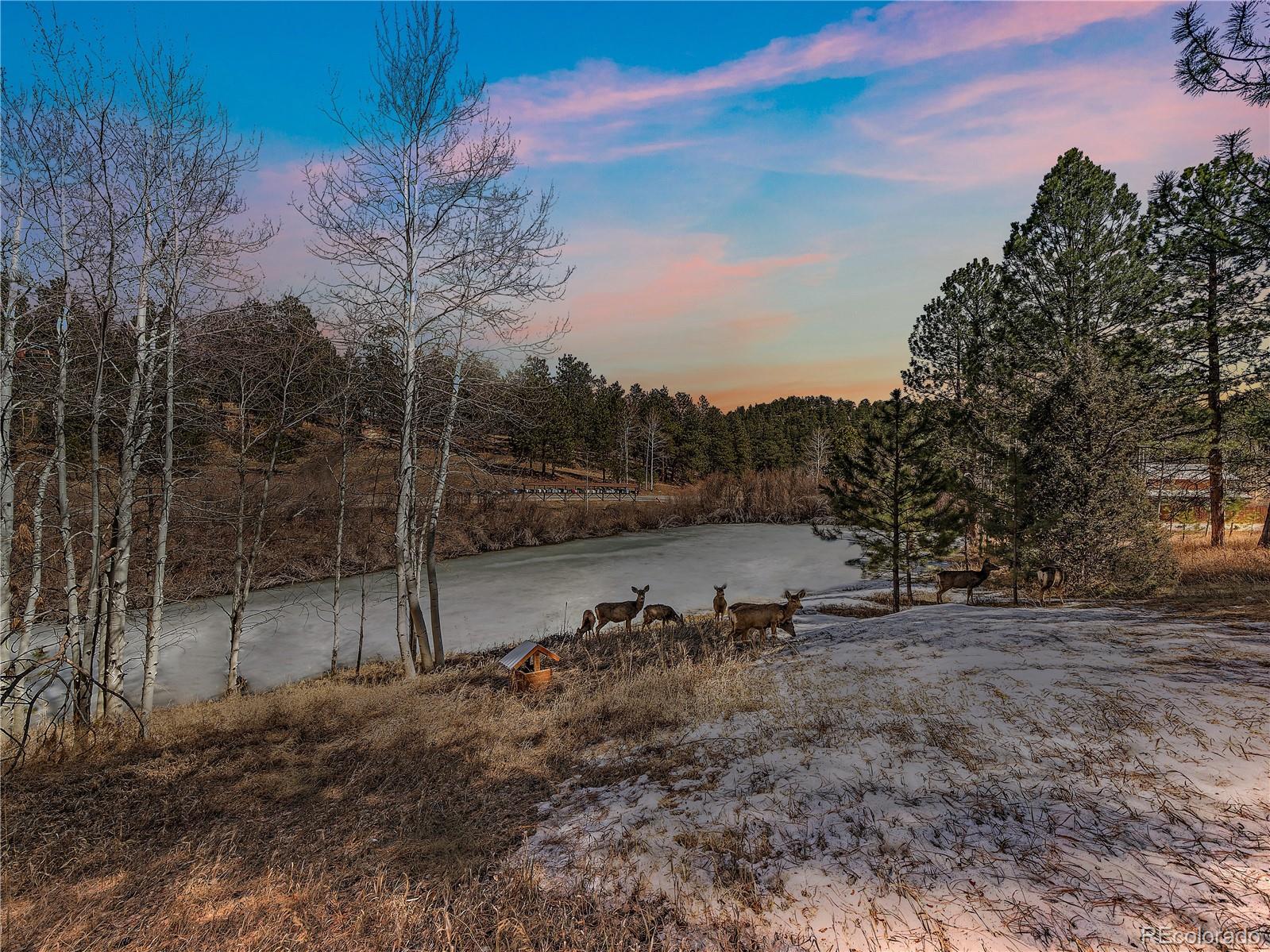 CMA Image for 69  chickadee drive,Bailey, Colorado