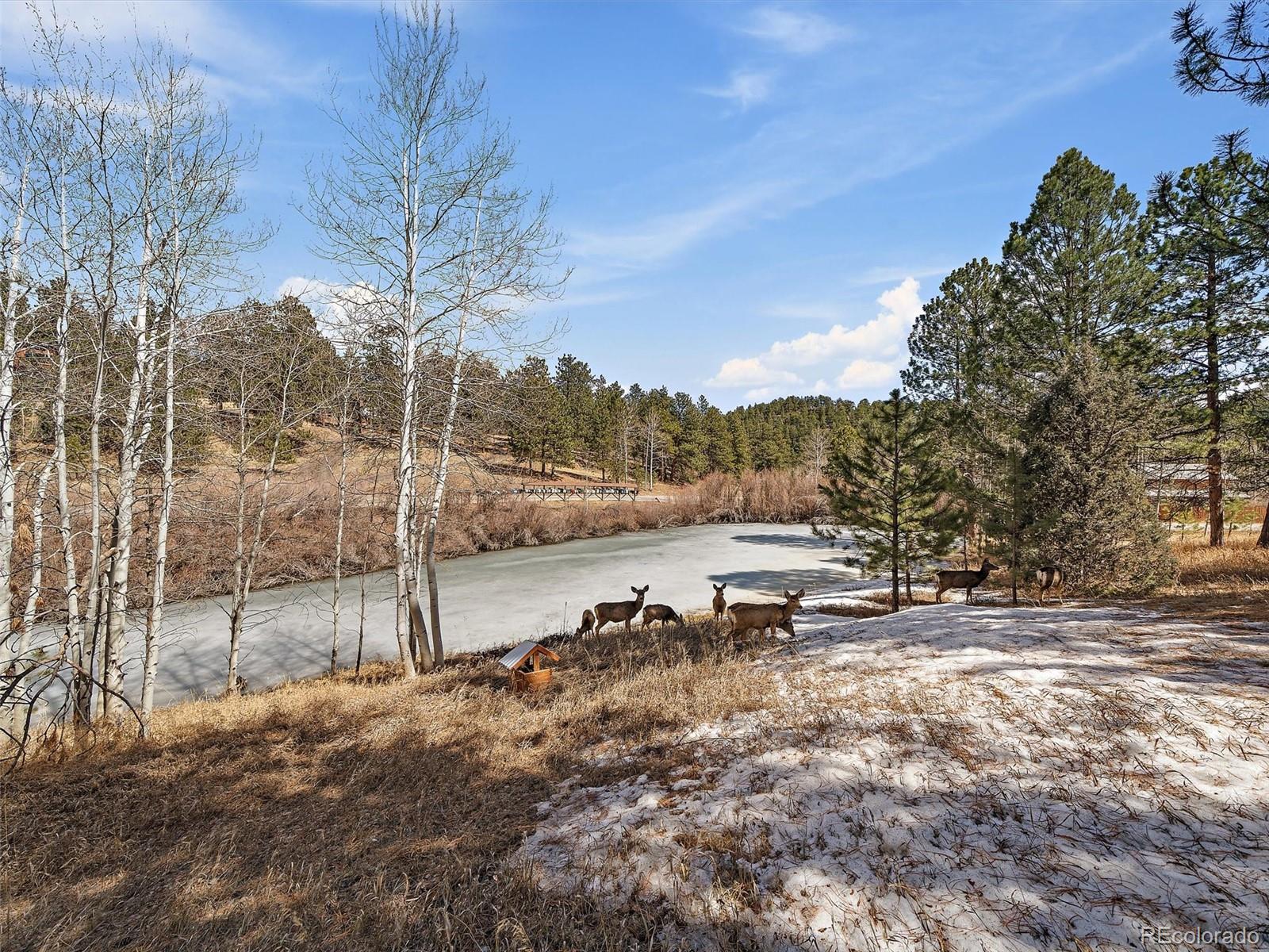 MLS Image #32 for 69  chickadee drive,bailey, Colorado