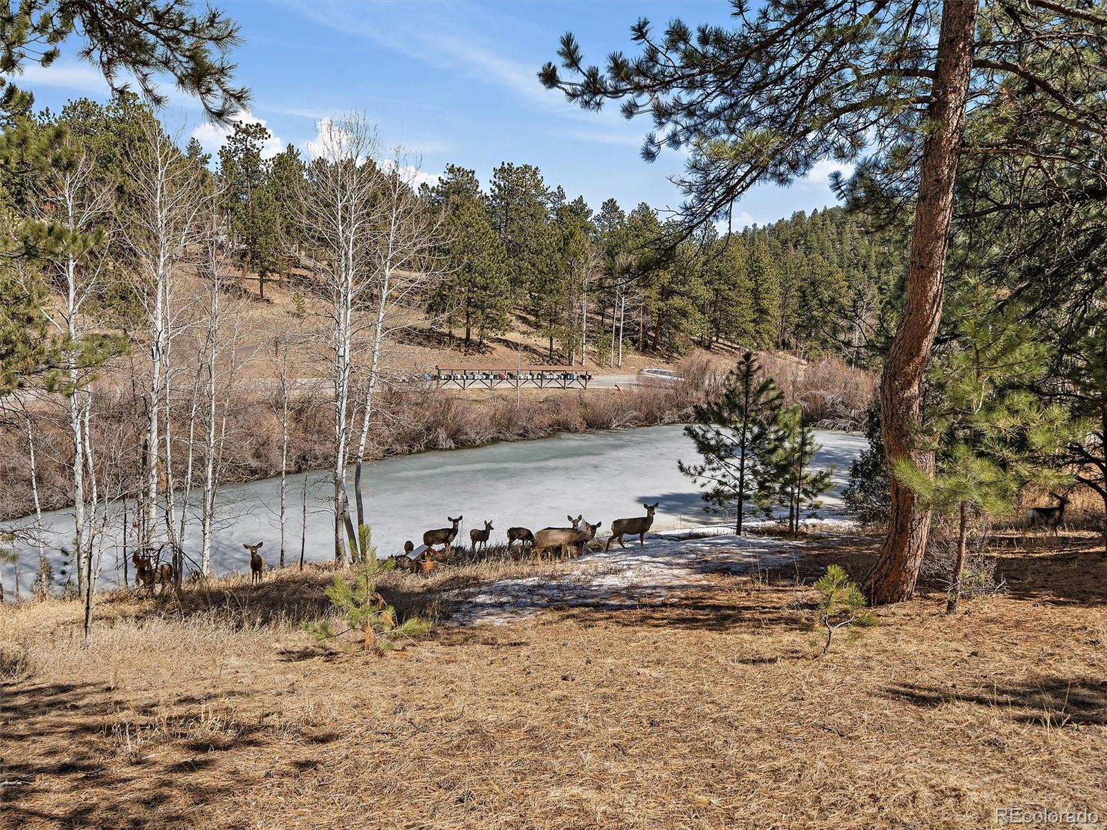 MLS Image #4 for 69  chickadee drive,bailey, Colorado