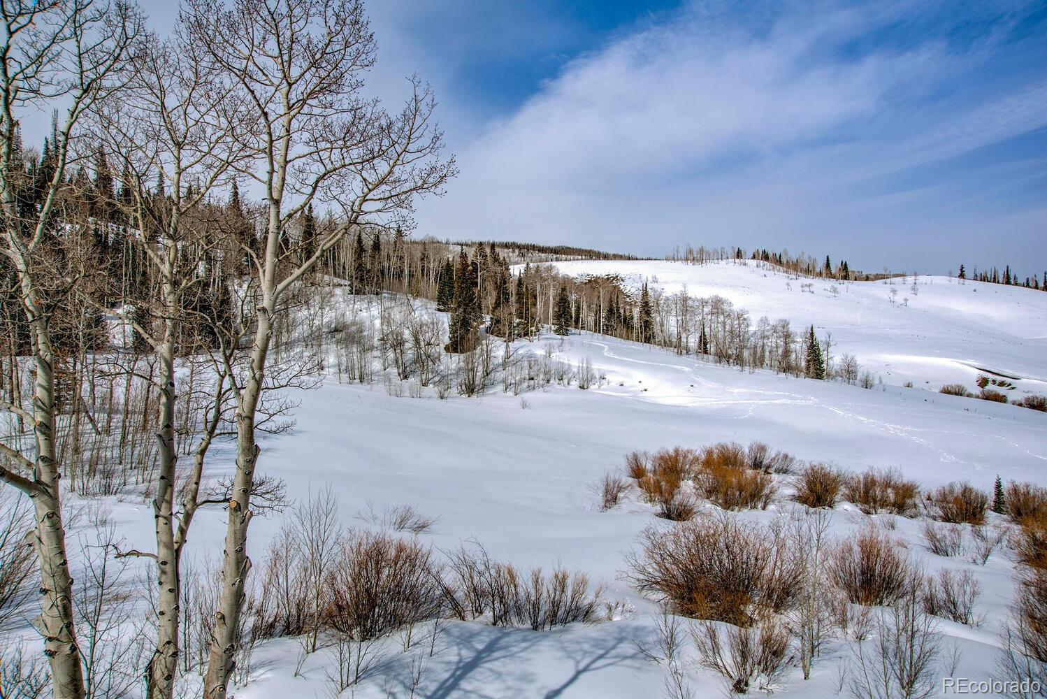 MLS Image #37 for 140  vendette road,silverthorne, Colorado