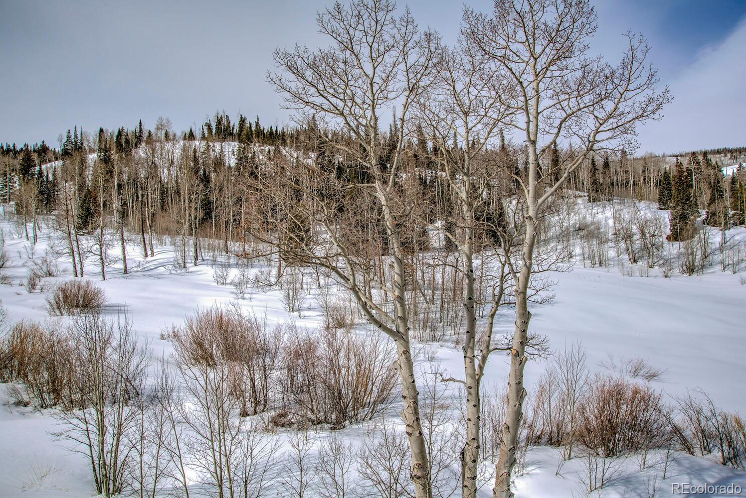 MLS Image #39 for 140  vendette road,silverthorne, Colorado