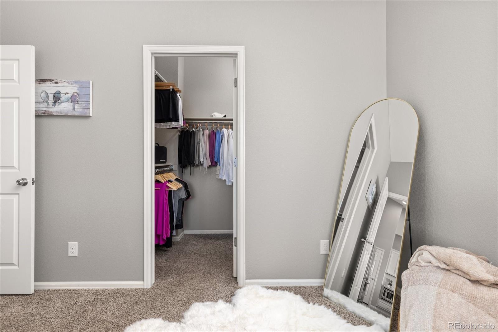 MLS Image #19 for 20795  scenic park drive,parker, Colorado