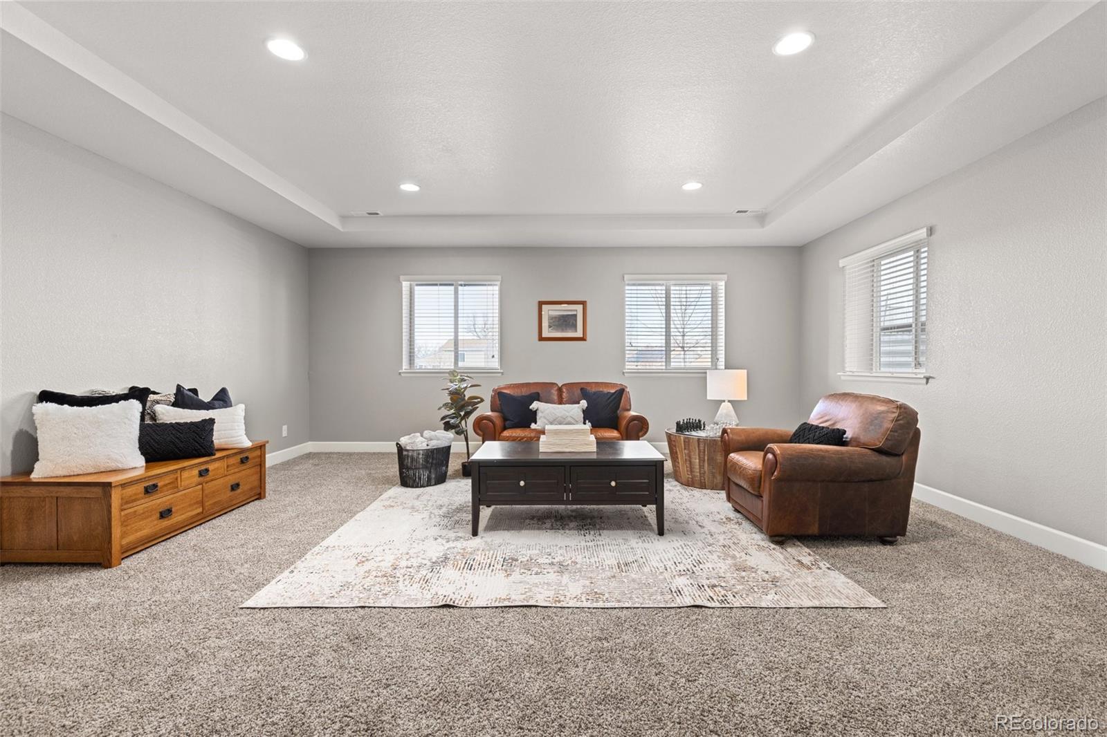 MLS Image #29 for 20795  scenic park drive,parker, Colorado