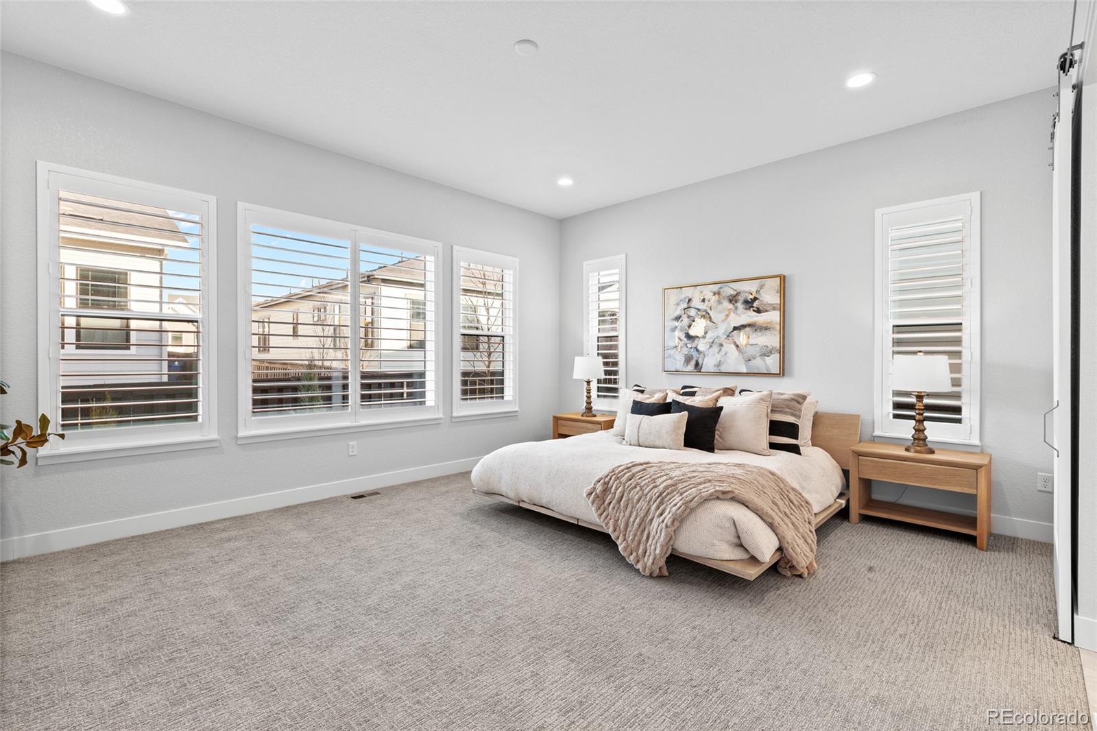 MLS Image #17 for 11412  autumn moon street,littleton, Colorado