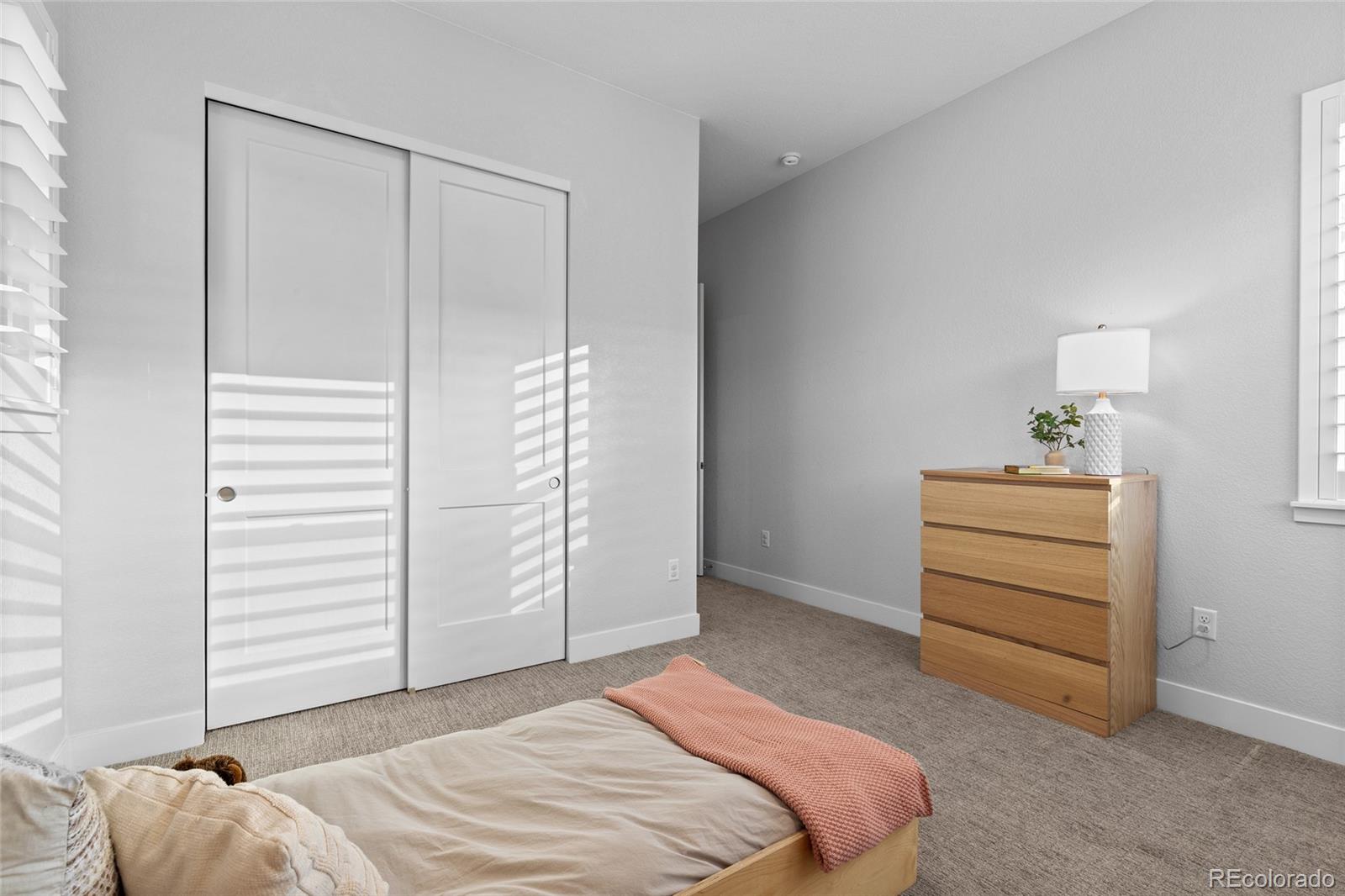 MLS Image #23 for 11412  autumn moon street,littleton, Colorado