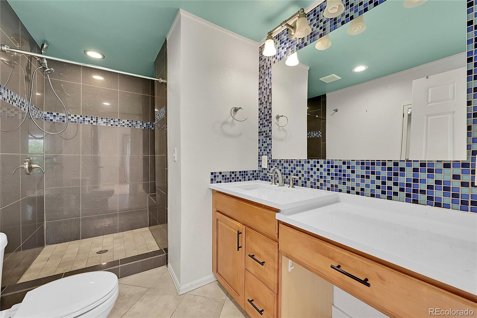 MLS Image #15 for 1720  trenton street,denver, Colorado