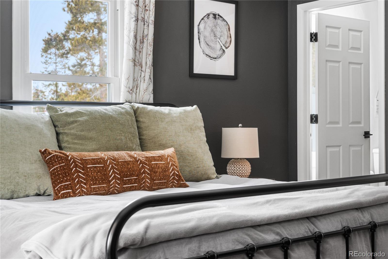 MLS Image #11 for 133  elk horn drive,tabernash, Colorado