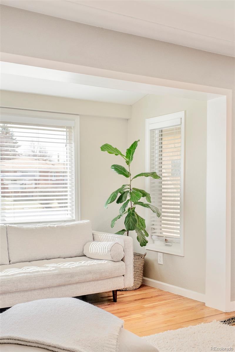 MLS Image #7 for 505  everett street,lakewood, Colorado