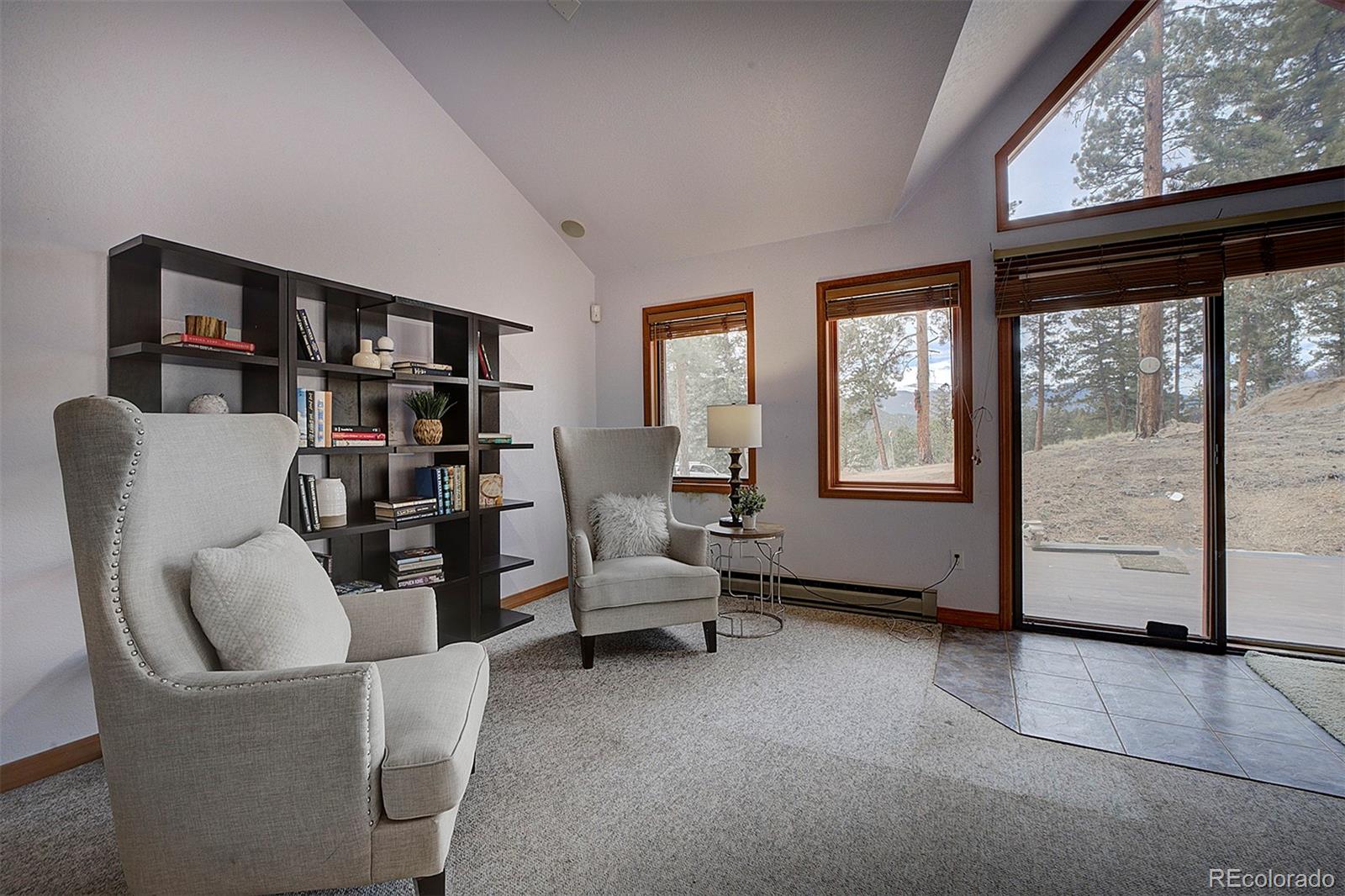 MLS Image #10 for 1102  hitchrack road,bailey, Colorado