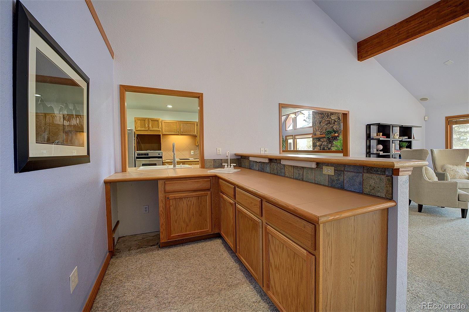 MLS Image #13 for 1102  hitchrack road,bailey, Colorado