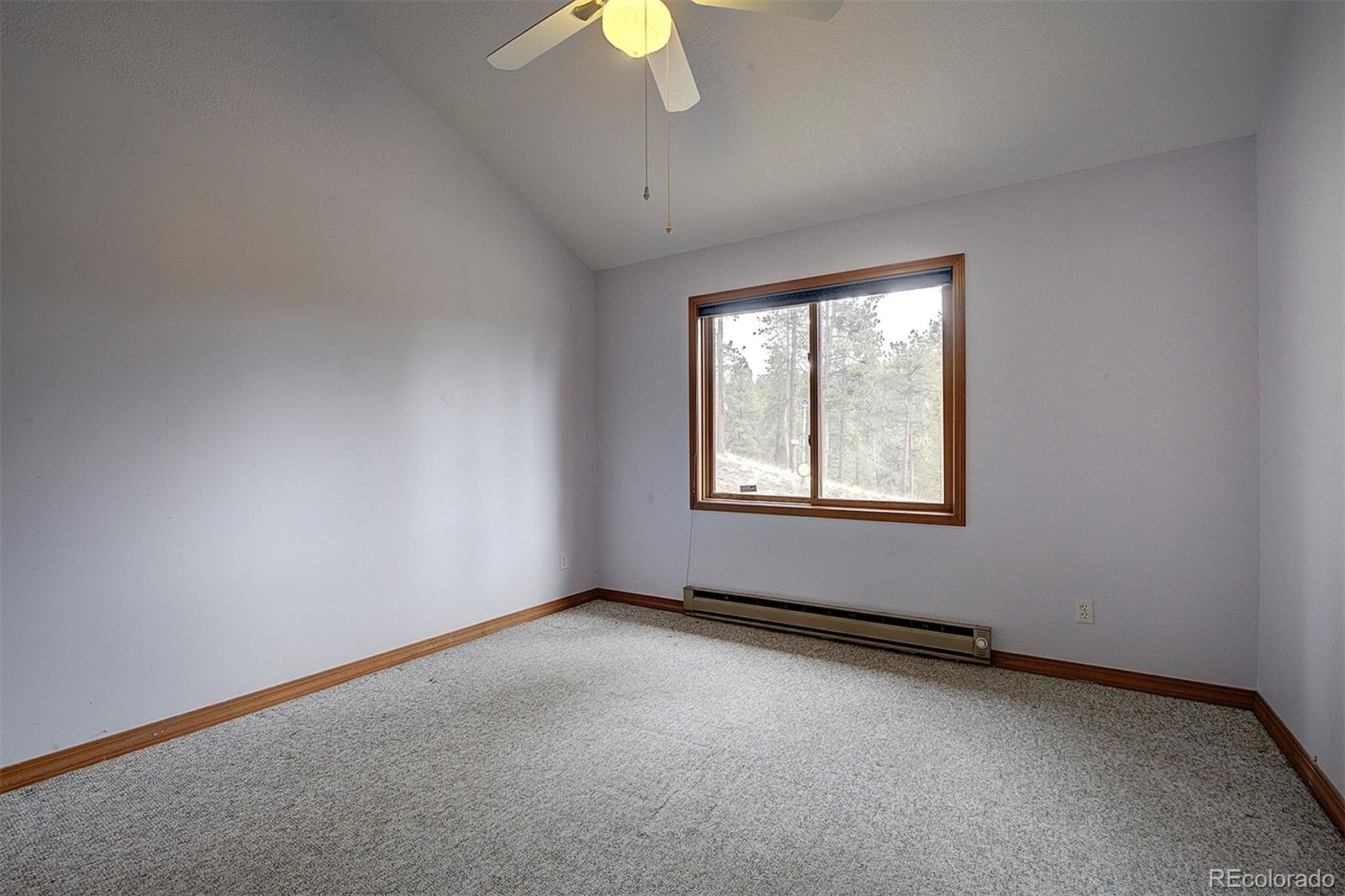 MLS Image #14 for 1102  hitchrack road,bailey, Colorado