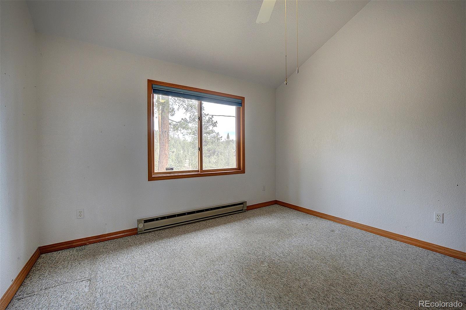 MLS Image #15 for 1102  hitchrack road,bailey, Colorado