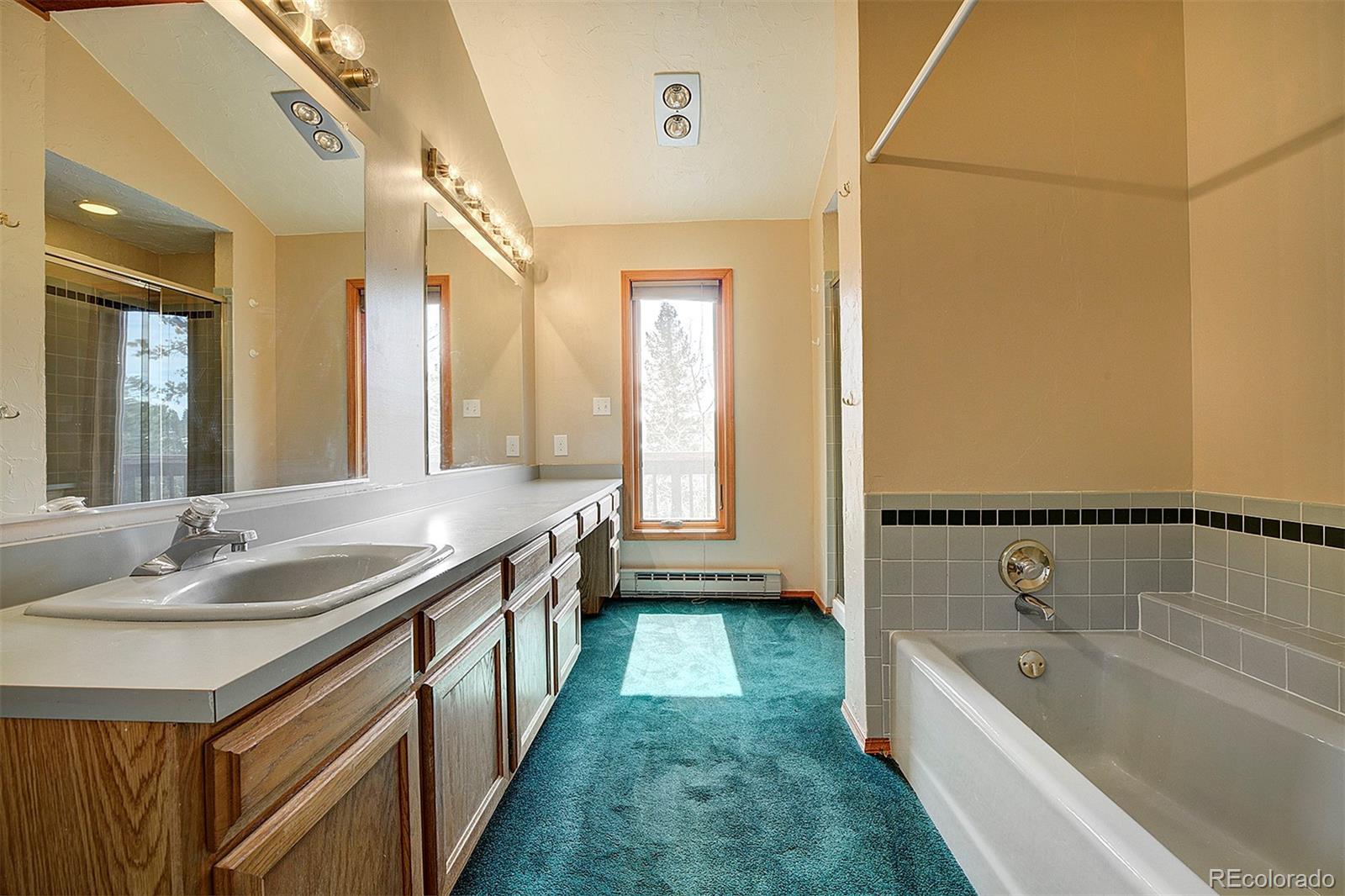 MLS Image #24 for 1102  hitchrack road,bailey, Colorado