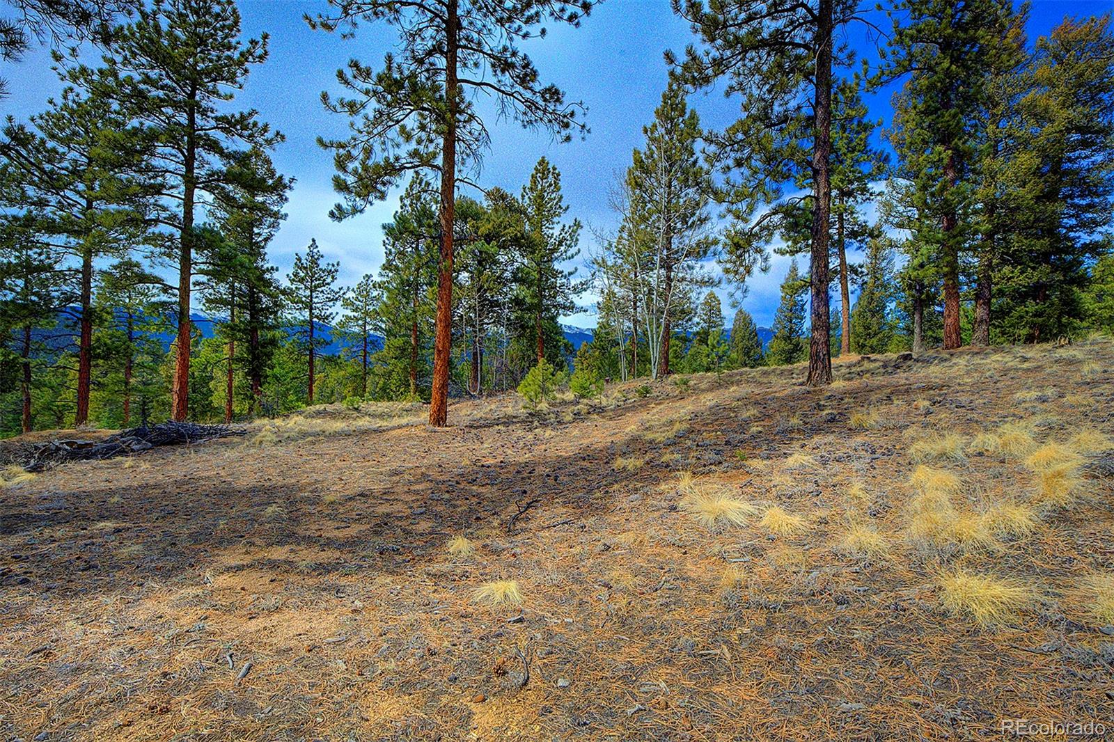 MLS Image #32 for 1102  hitchrack road,bailey, Colorado